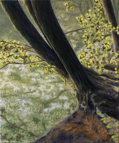 Sonnenlicht am Hellsee