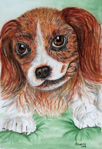 Der h�usliche Liebling