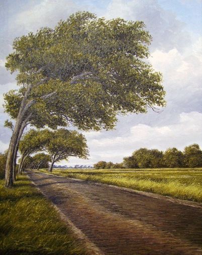 Landschaft in Ostfriesland  von 2008