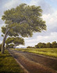 Landschaft in Ostfri...