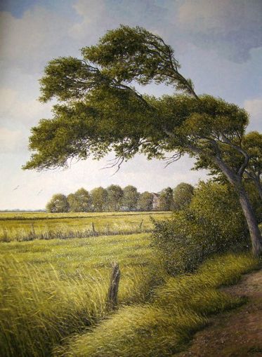 Landschaft bei Neuharlingersiel-Ostfriesland von 2008