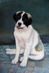 Hundeportrait �lgem�...