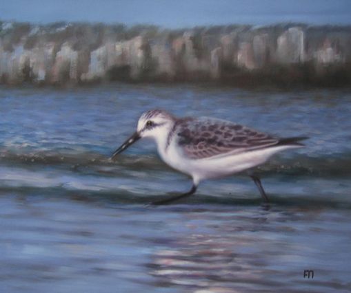 Tierportrait Strandl�ufer �lgem�lde vom Foto 