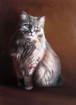 Katzenportrait  �lge...