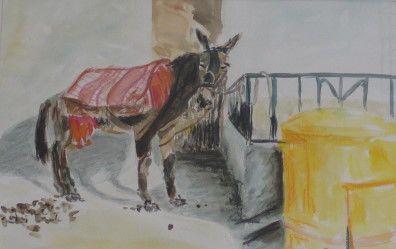 Maultier Competa Spanien