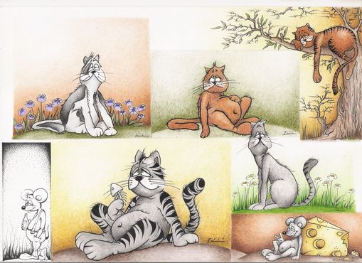 Katzen & Muse