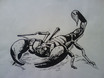 Skorpion