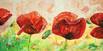 Mohn 2