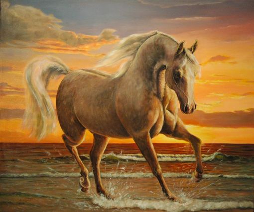 Arabisches Pferd am Meer