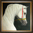 Arabisches Pferd