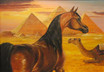 Arabisches Pferd mit...