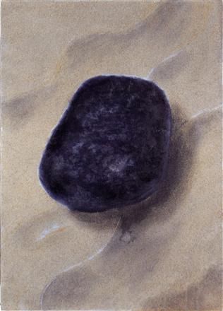 Portrait Of A Beach Stone 3