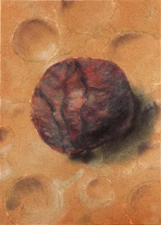 Portrait Of A Beach Stone 1