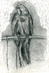 Schwarz-weisser Ara