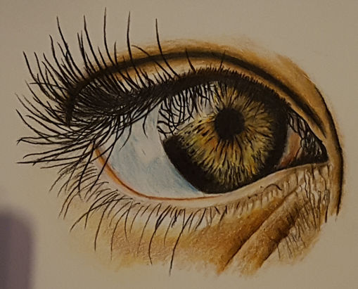 Das Auge