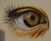 Das Auge