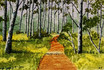 Birkenwald