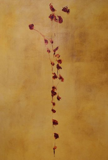 Erwachen des Gef�hls