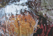 Winter Halloween