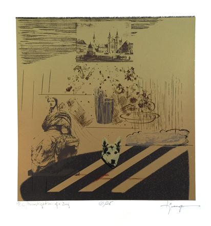 Investigations of a Dog