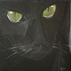 Black Cat