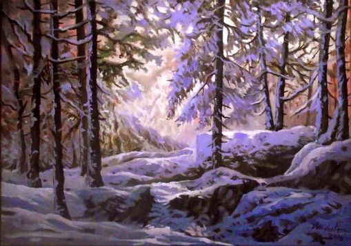  Der Winterwald
