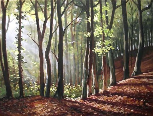  wald