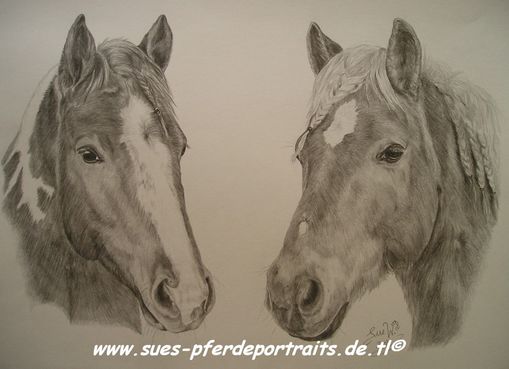 Dicke Freunde - Jessy und Stern