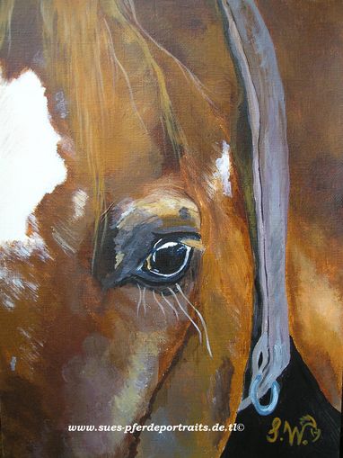 Wenn meine Augen Geschichten erz�hlen k�nnten