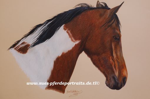 Wehende M�hne - Paintstute Shania