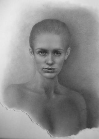 Portraitzeichnung "Hermaphrodit"