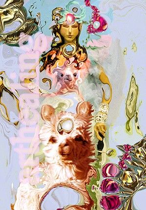 Die Liebe des Kamels