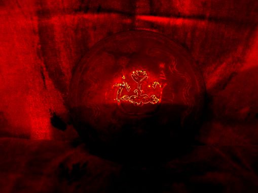 Das Geheimnis der goldenen Bl�te