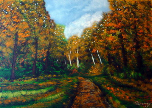 Herbst im Westerwald