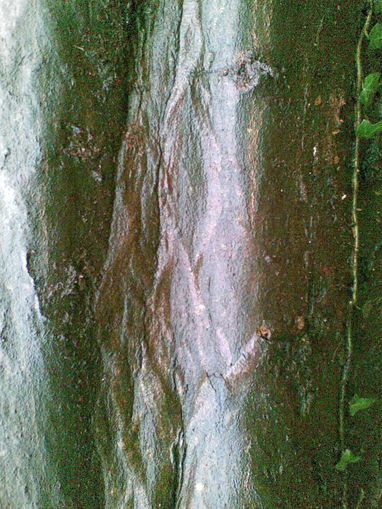 geschmeidige Gl�tte