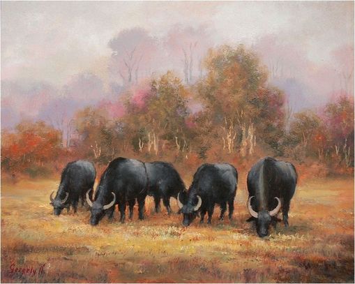  Irgendwo in  Siebenb�rgen 4