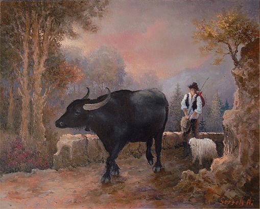  Irgendwo in  Siebenb�rgen 2