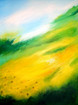 Sonnenblumenfeld