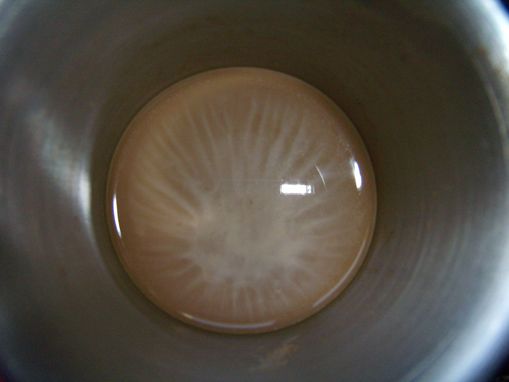 Nicht einfach nur kalter Kaffee!?