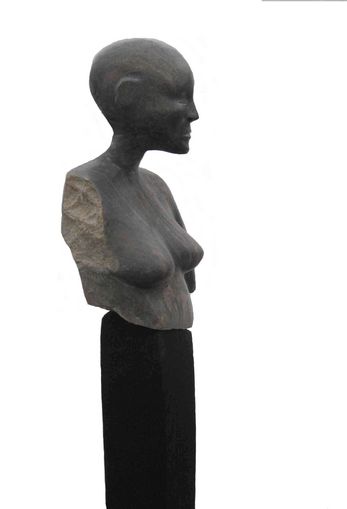 Torso 1