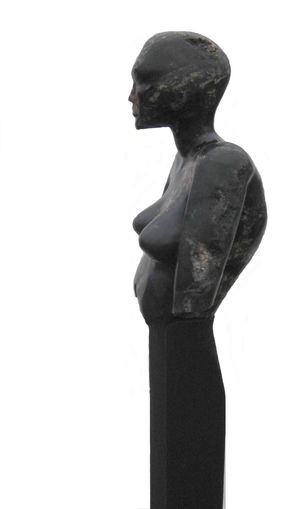 Torso 2