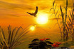 when the eagle fly