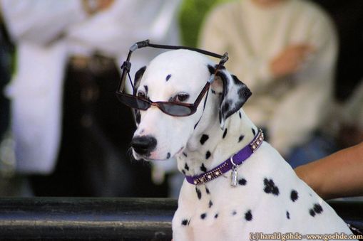 be cool baby