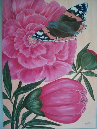 Pfingstrose mit Schmetterling