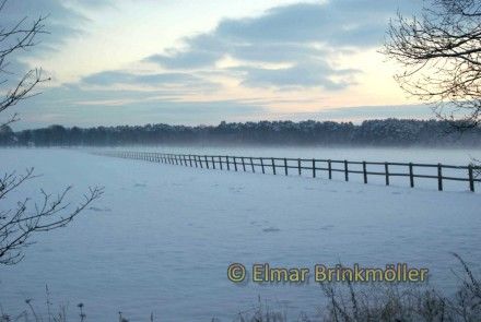 Winter IV