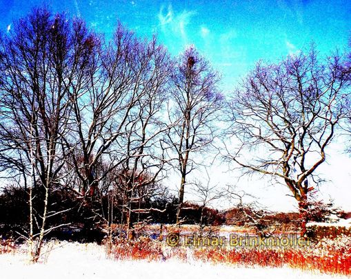 Winter I
