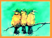 3 little Birds