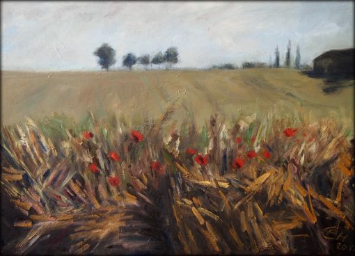 fields of summer