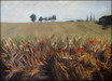 fields of summer