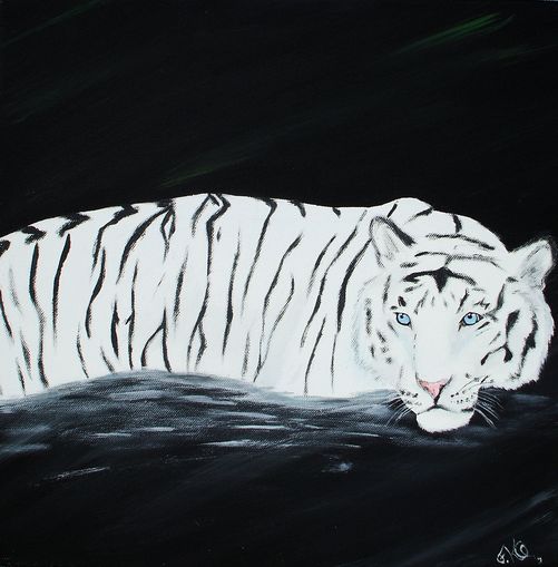 Wei�er Tiger im Wasser